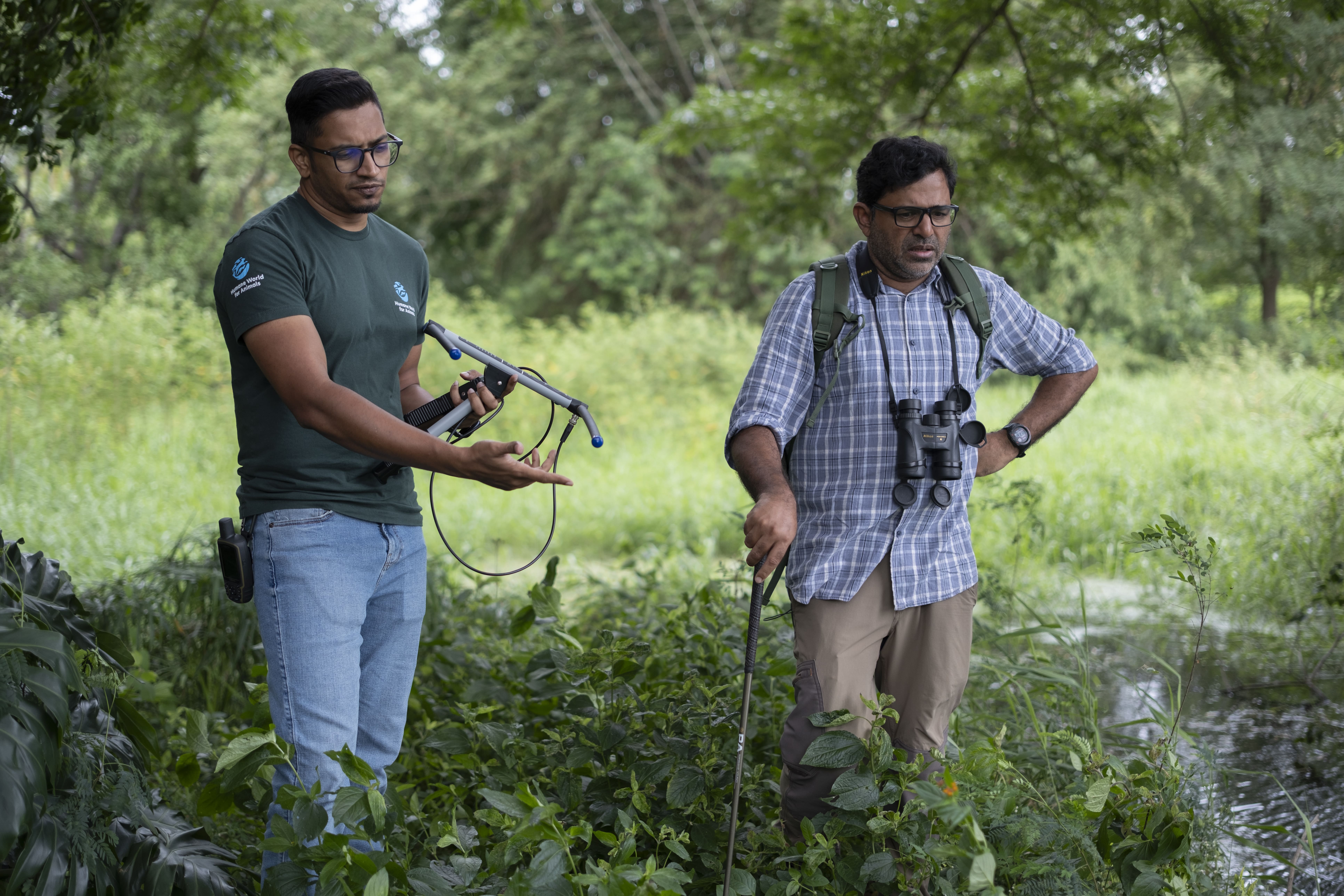 Gerard (Gerry) Martin and colleague, The Liana Trust, Rathnapuri village, Hunsur Taluk, Mysuru district, Karnataka, India. Gerry and his colleague conduct radio telemetry tracking of snakes in the field, gathering data to better understand snake movement and behaviour and to inform strategies for reducing human-snake conflict in local communities.