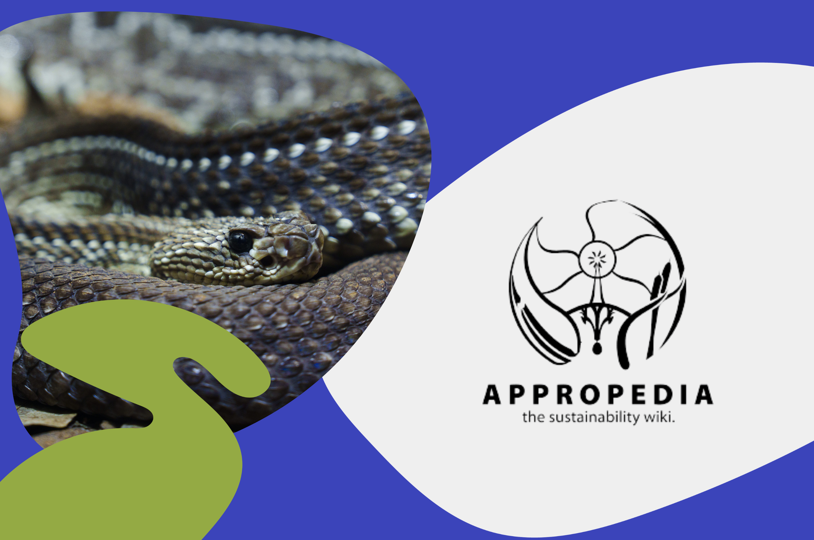 Welcome to the Wellcome Snakebite Innovation Prize [Online]