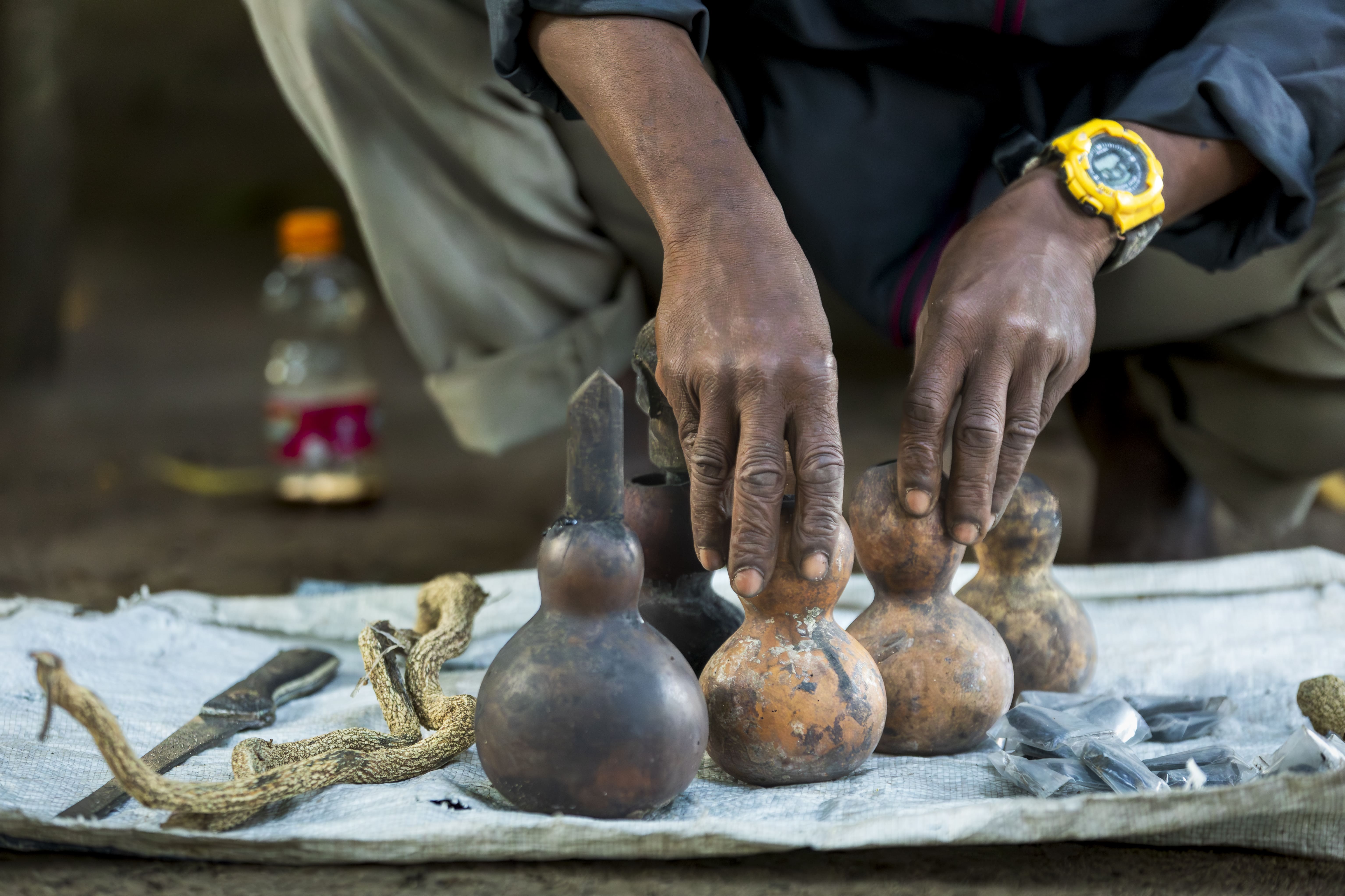 Douglas Rama, a traditional snakebite healer, Gede, Watamu, Kenya, sets out his paraphernalia used in his healing practices. Trusted in the community, traditional healers are often the first point of contact for education on snakebite dangers and prevention. In Africa, 80% of snakebite victims will visit a traditional healer like Douglas, or receive no treatment at all, though delays in medical care can increase the risk of death and long-term disability.