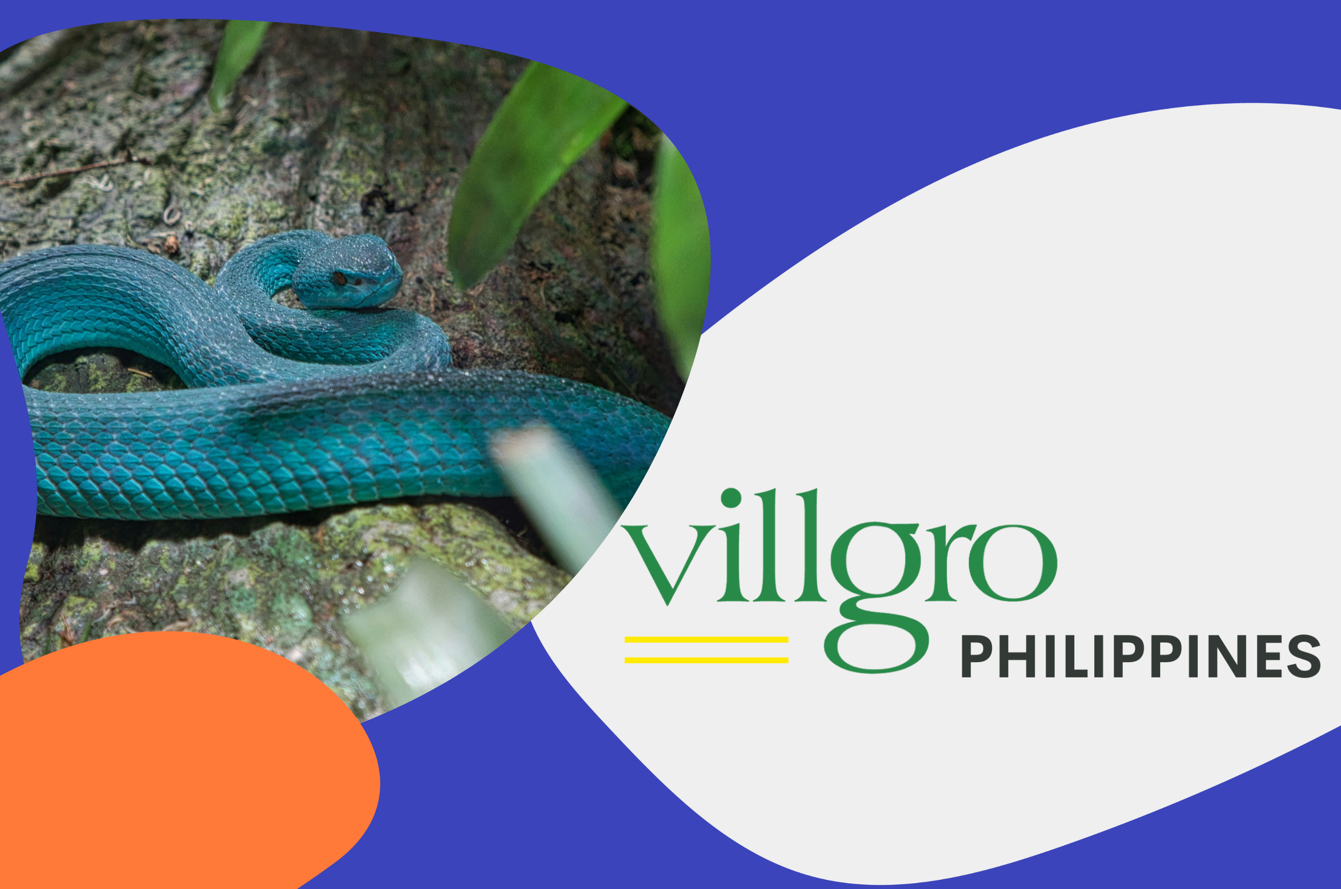 Understanding the Snakebite Patient Journey [Online]
