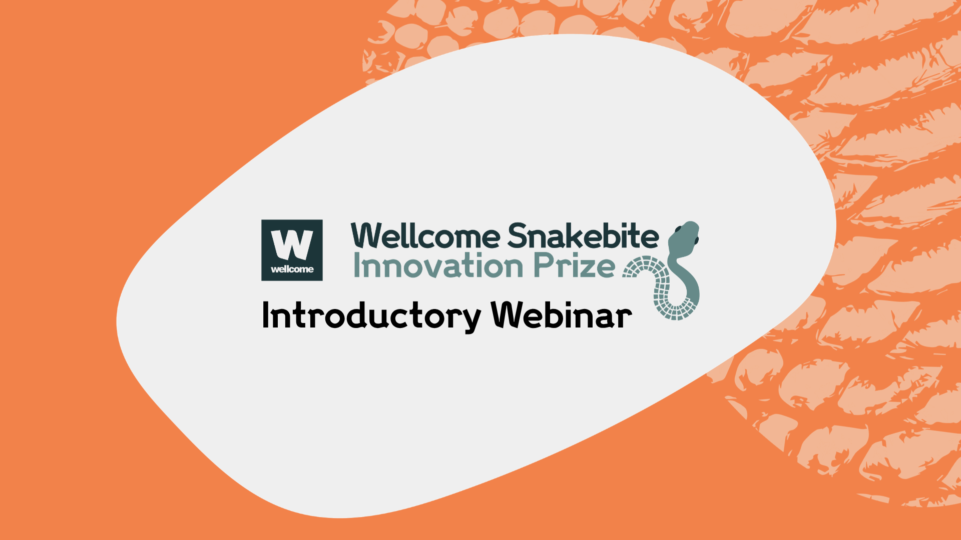 Watch our prize introductory webinar